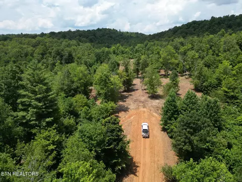 Sheep Ranch Rd., Robbins, TN 37852