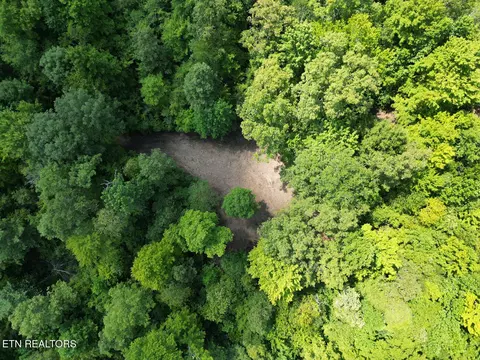 Sheep Ranch Rd, Robbins, TN 37852