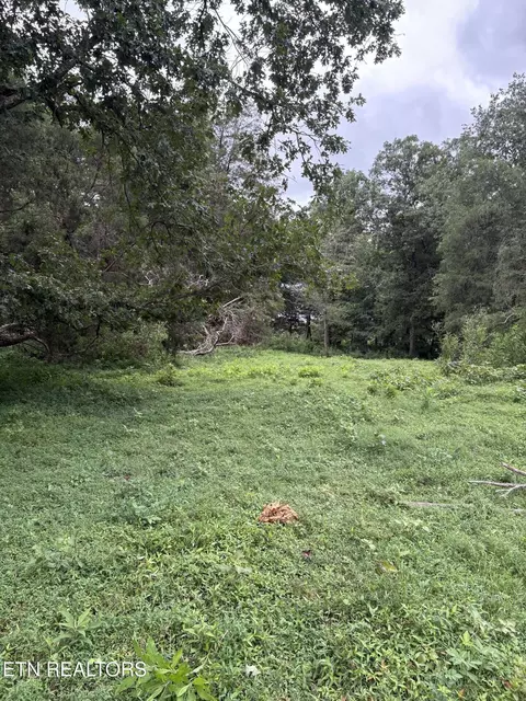 Buchanan Ridge Rd, Tazewell, TN 37879