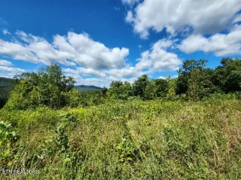 14 34ac Tomahawk Rd, Jamestown, TN 38556