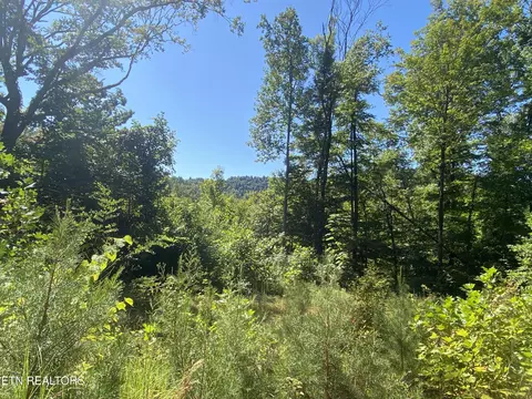 Double Top Rd, Jamestown, TN 38556