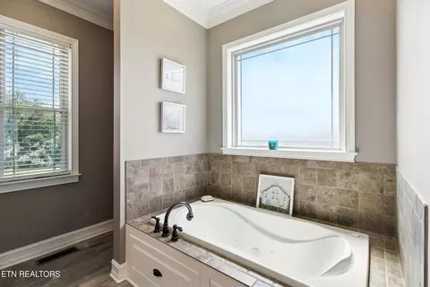 Bath - 157 Danielle Ct, Harrogate, TN 37752 photo 2 of 6