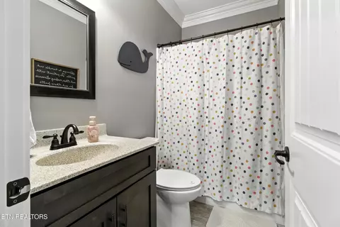 Bath - 157 Danielle Ct, Harrogate, TN 37752 photo 6 of 6
