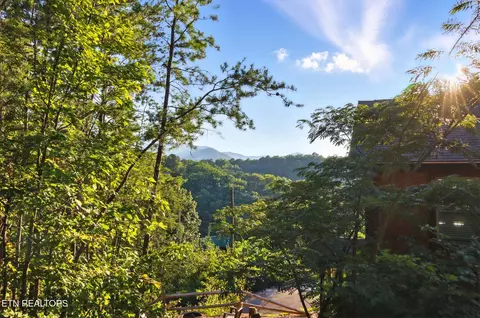 771 Ski View Ln, Pigeon Forge, TN 37876