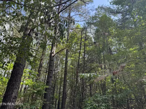 Hannah Davidson Rd, Robbins, TN 37852