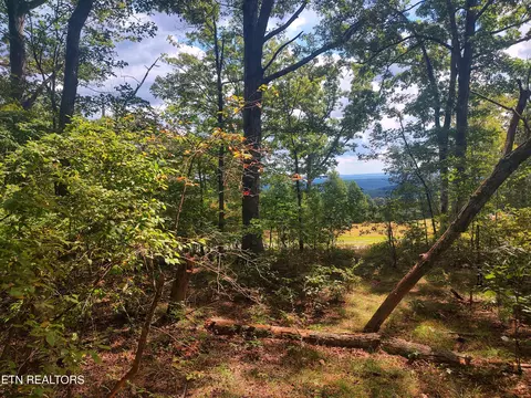 5 Acres Briley Rd, Spring City, TN 37381