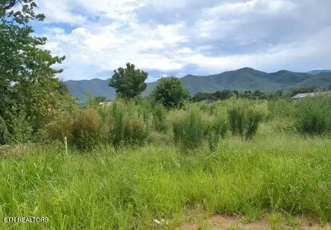 290 Bill Mauk Rd, Chuckey, TN 37641
