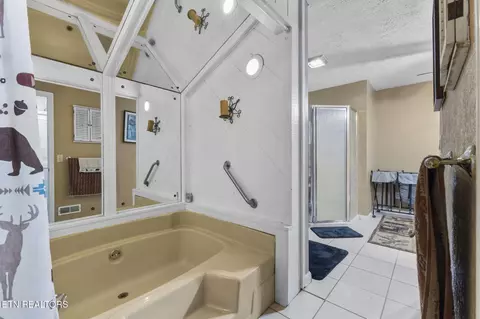 Bath - 3825 Dollys Dr, Sevierville, TN 37876 photo 1 of 8