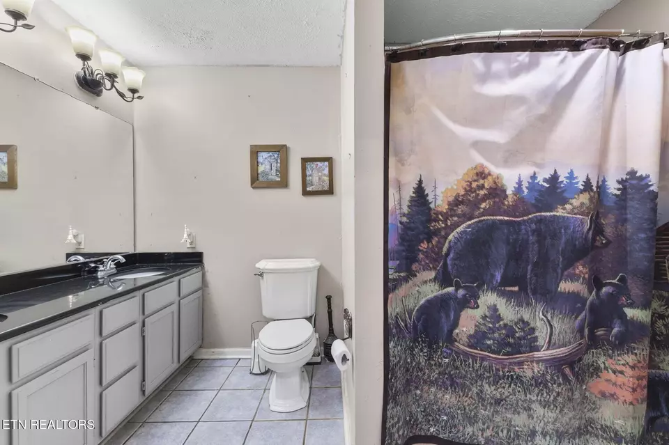 Bath - 3825 Dollys Dr, Sevierville, TN 37876 photo 6 of 8