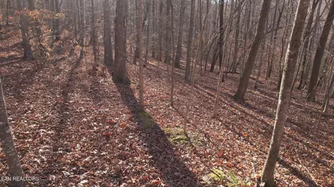 lot118 Hiwassee View Dr, Jacksboro, TN 37757