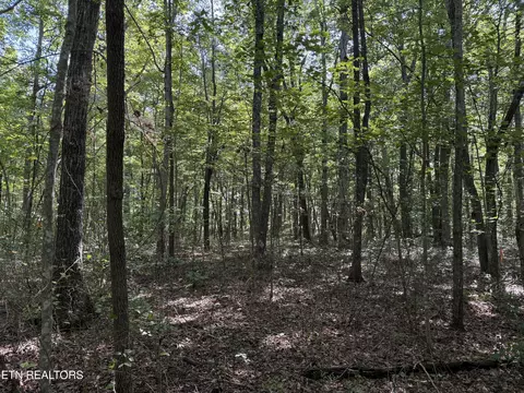 lot11 Jumpoff Pl, Monterey, TN 38574