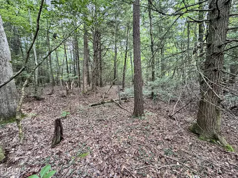 Banner Springs Rd, Jamestown, TN 38556