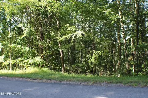 Deer Creek Xing, Mountain City, TN 37683