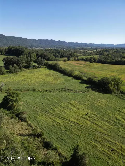 317 Singleton Hollow Rd #LOT 3, Speedwell, TN 37870