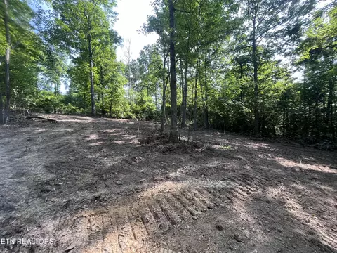 Little Sycamore Rd, Tazewell, TN 37879