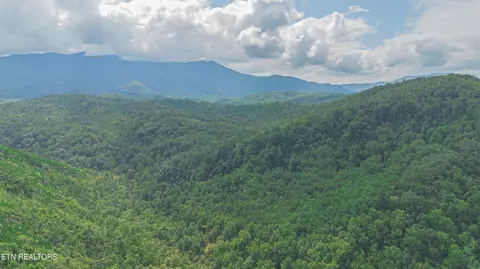 Low Gap Rd, Gatlinburg, TN 37738