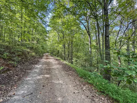 552 New Providence Rd, Tellico Plains, TN 37385