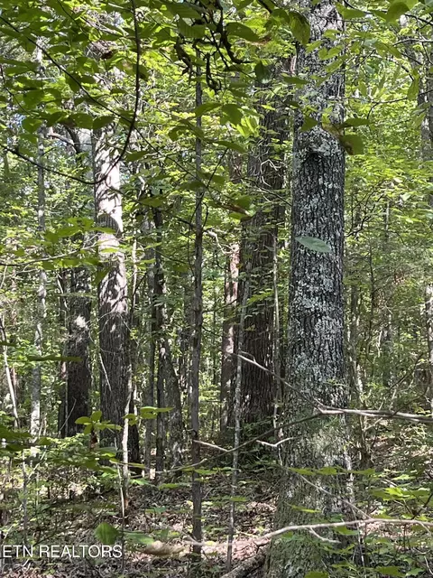 552 New Providence Rd, Tellico Plains, TN 37385