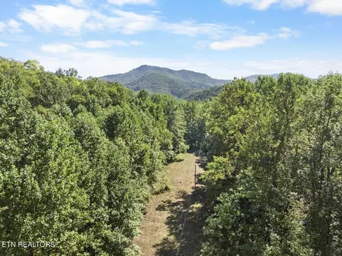 Par 033.01 South Highway 32, Cosby, TN 37722