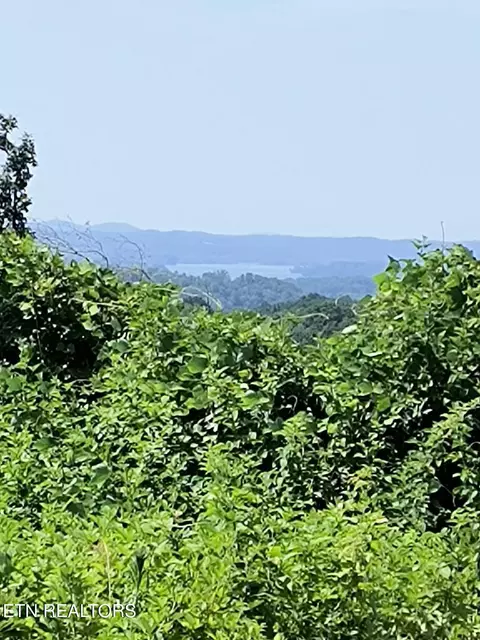 Ashe Cabin Hollow Rd, Harriman, TN 37748
