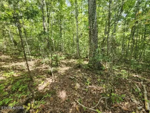 16 22ac Glenobey Rd, Jamestown, TN 38556