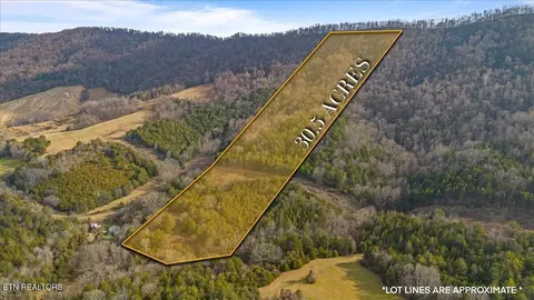 Little Sycamore Rd, Tazewell, TN 37879