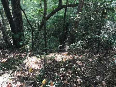 Rob Watson Rd, Oneida, TN 37841 photo 8