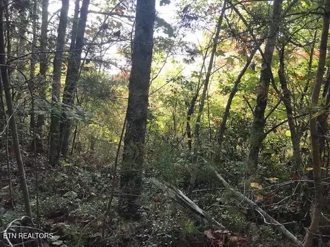 Rob Watson Rd, Oneida, TN 37841 photo 3