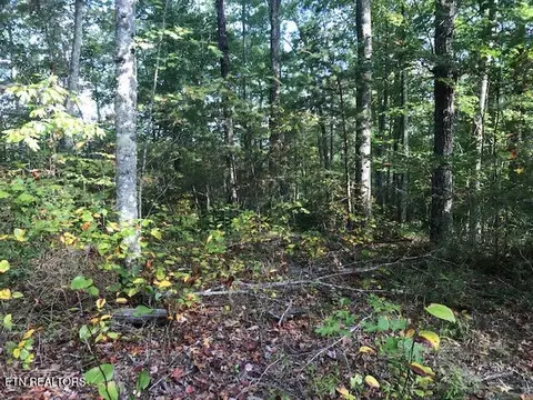 Rob Watson Rd, Oneida, TN 37841 photo 5