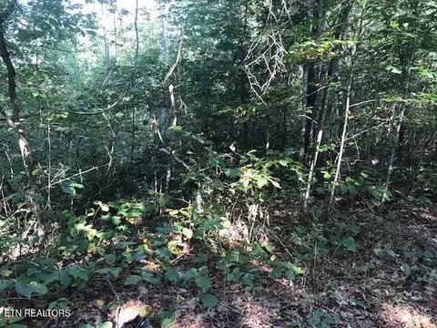 Rob Watson Rd, Oneida, TN 37841 photo 10