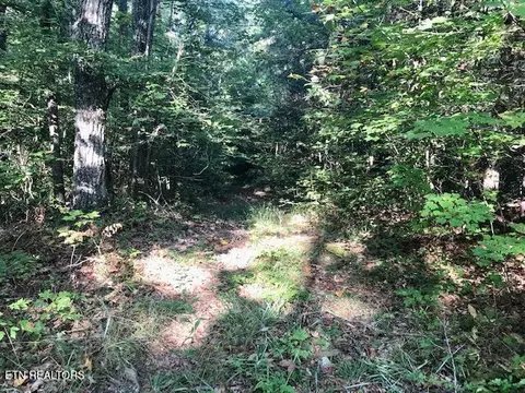 Rob Watson Rd, Oneida, TN 37841 photo 12