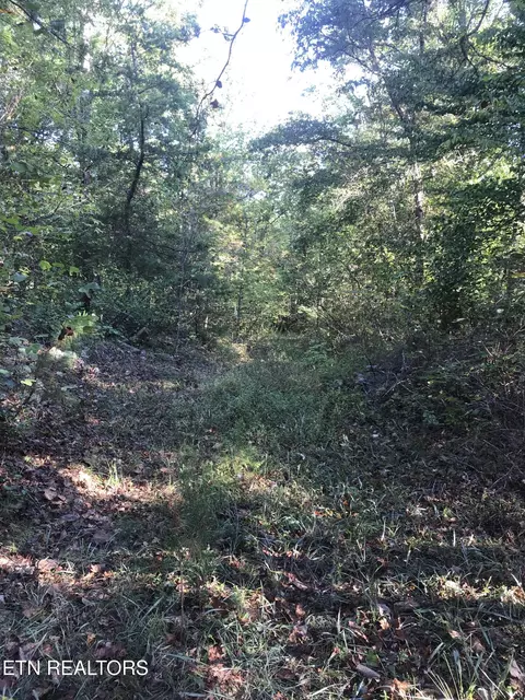 Rob Watson Rd, Oneida, TN 37841 photo 25