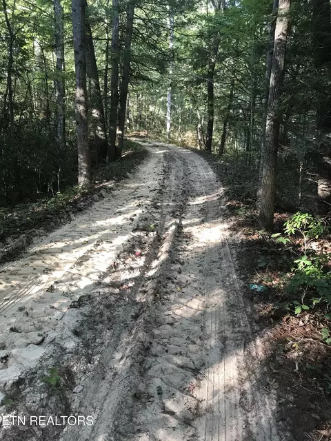 Rob Watson Rd, Oneida, TN 37841 photo 18