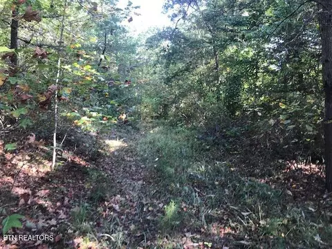 Rob Watson Rd, Oneida, TN 37841 photo 7