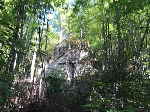 Rob Watson Rd, Oneida, TN 37841 photo 14