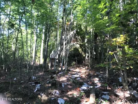Rob Watson Rd, Oneida, TN 37841 photo 2