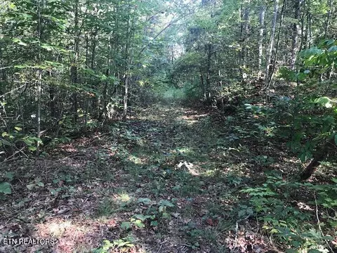 Rob Watson Rd, Oneida, TN 37841 photo 11