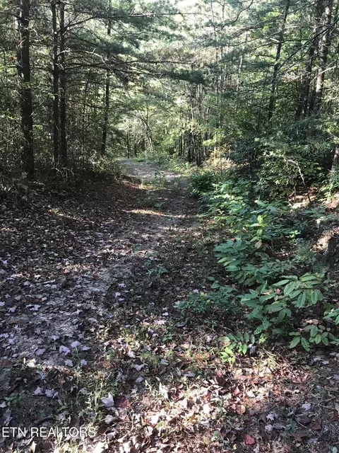 Rob Watson Rd, Oneida, TN 37841 photo 23