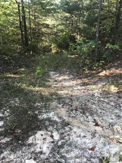 Rob Watson Rd, Oneida, TN 37841 photo 22