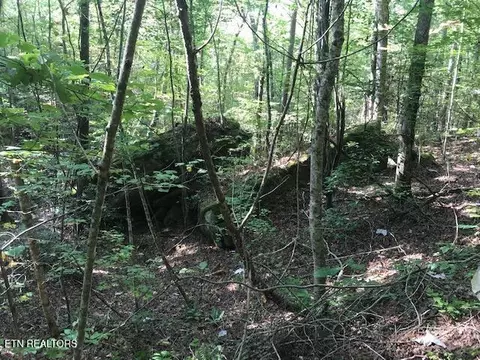 Rob Watson Rd, Oneida, TN 37841 photo 13