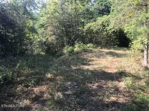 Rob Watson Rd, Oneida, TN 37841 photo 6