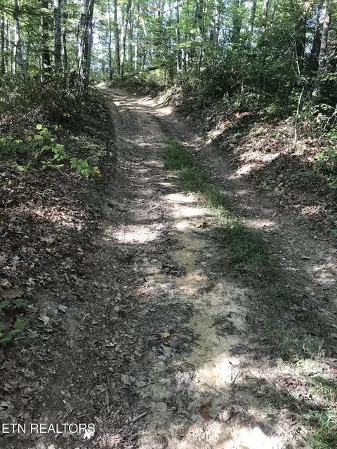 Rob Watson Rd, Oneida, TN 37841 photo 28
