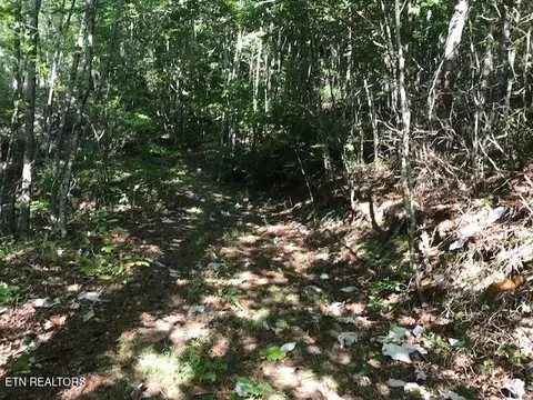 Rob Watson Rd, Oneida, TN 37841 photo 15