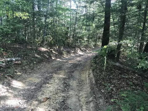 Rob Watson Rd, Oneida, TN 37841 photo 20