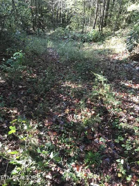 Rob Watson Rd, Oneida, TN 37841 photo 26