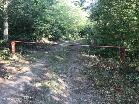 Rob Watson Rd, Oneida, TN 37841 photo 19