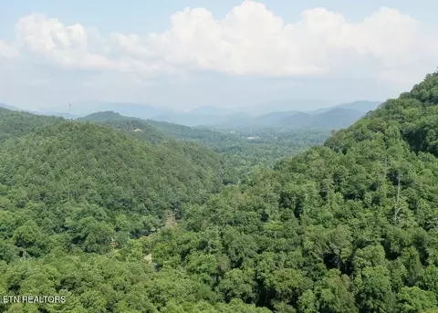 165 Anatole Pass, Townsend, TN 37882