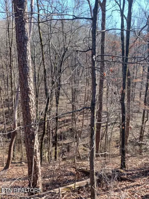 311 Roberts Mill Rd, Hixson, TN 37343