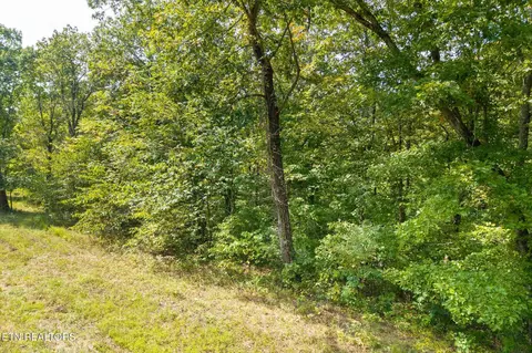 300 E Rockfish Rd, Hilham, TN 38568 photo 18