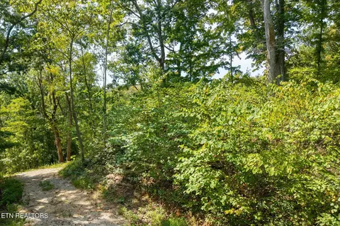300 E Rockfish Rd, Hilham, TN 38568 photo 22